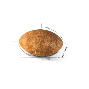 Персидская