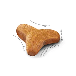 Бенгальская