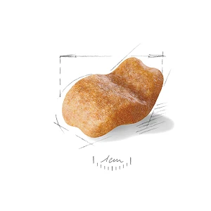 Бульдог