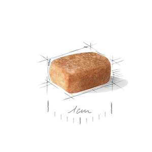 Чихуахуа