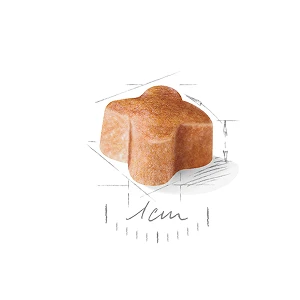 Немецкая овчарка