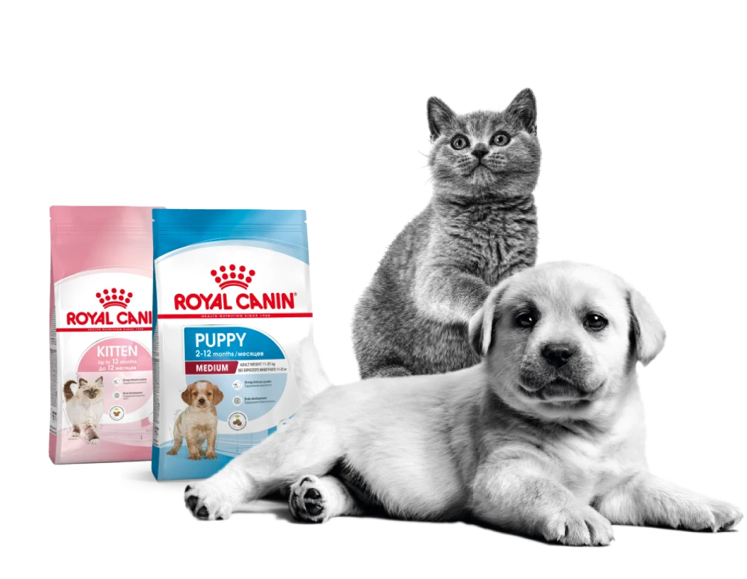 Официальный сайт бренда кормов для кошек и собак | Royal Canin