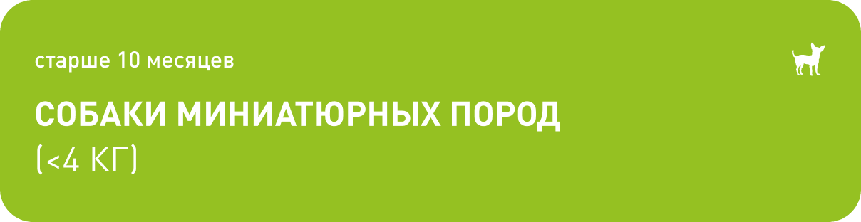 старше 10 месяцев Собаки миниатюрных пород (<4 КГ)