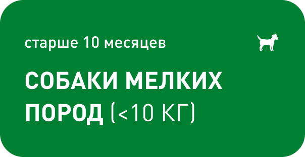 старше 10 месяцев Cобаки мелких пород (<10 КГ)