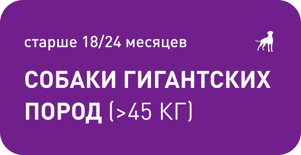 старше 18/24 месяцев Cобаки гигантских пород (>45 КГ)