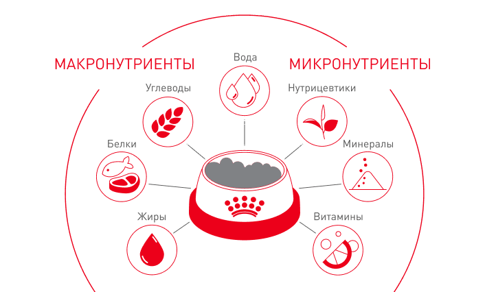 состав корма