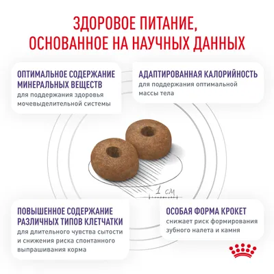 Ана камерасы порно