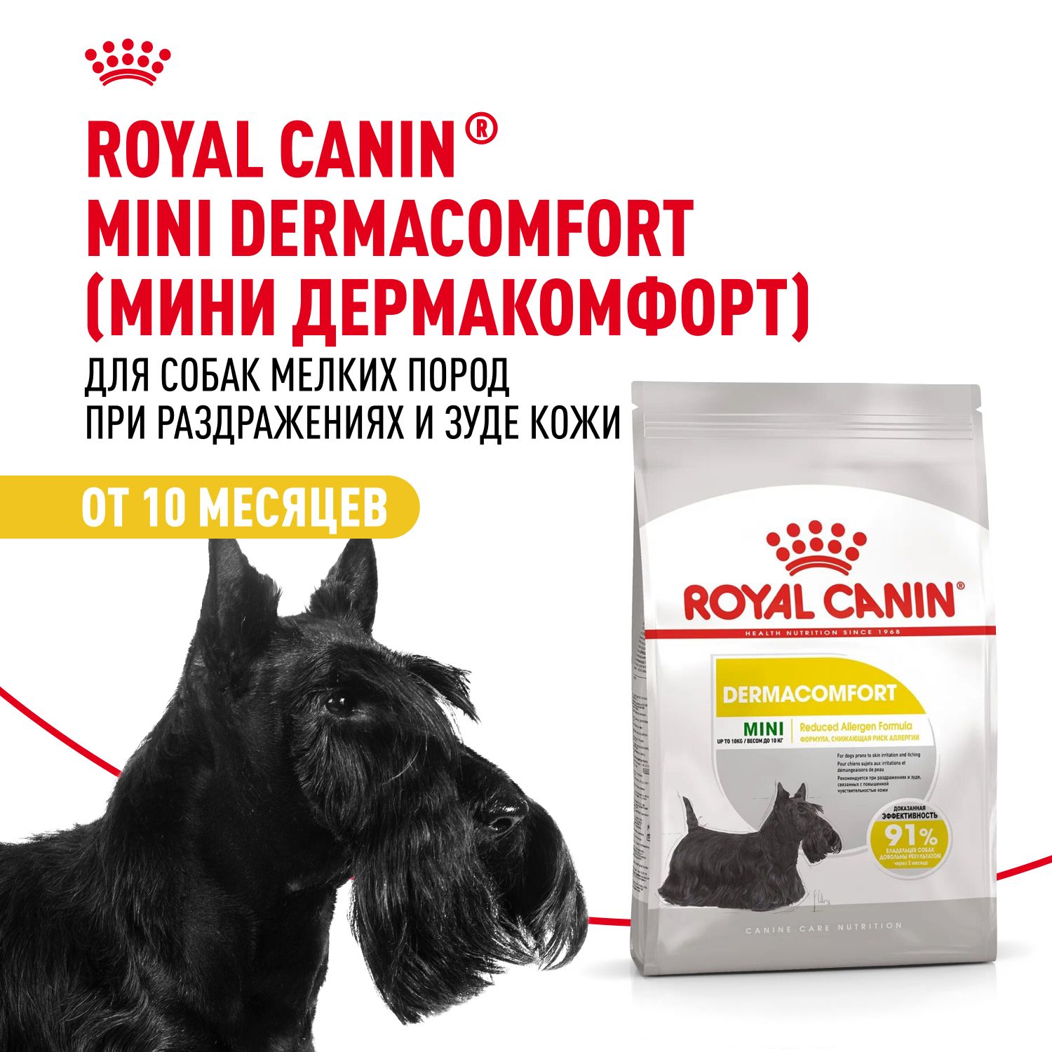 Купить сухой корм Royal Canin для собак Mini Dermacomfort в